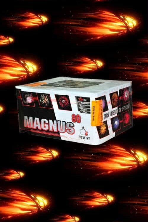 WYRZUTNIA MAGNUS PXB2412