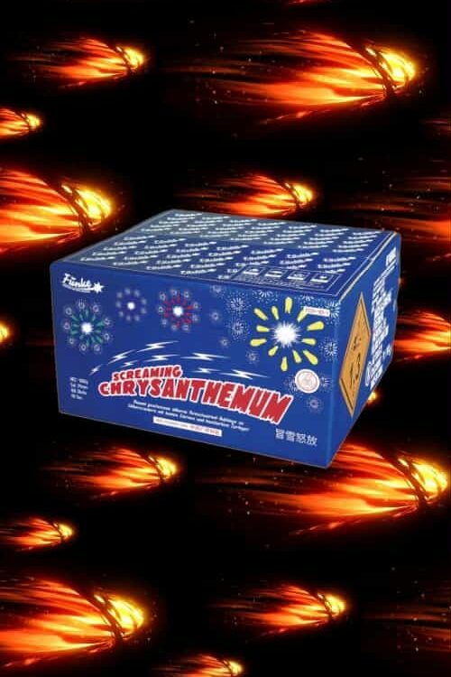 WYRZUTNIA SCREAMING CHRYSANTHEMUM FC24-100-1