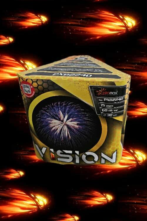 WYRZUTNIA VISION PXB2240