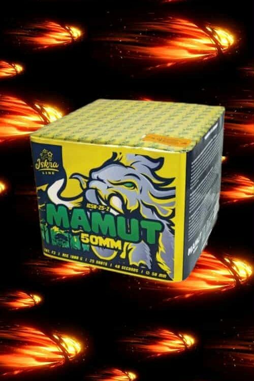 WYRZUTNIA MAMUT IC50-25-2 rok produkcji 2022